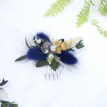 Peigne Azul